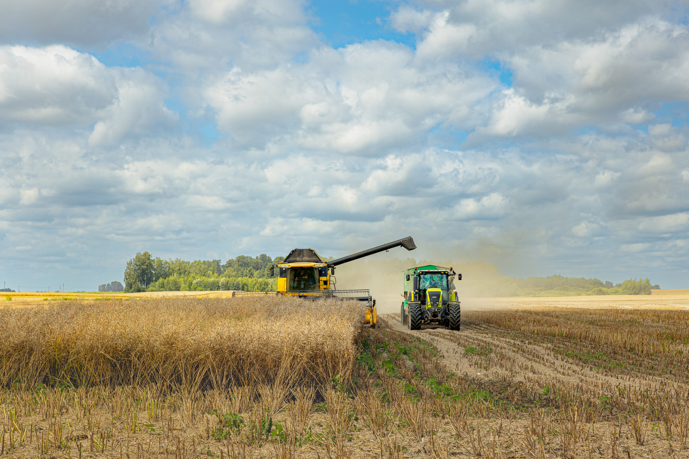 Holland Agro wheat harvest